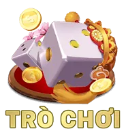 Nhà cung cấp DS Gaming